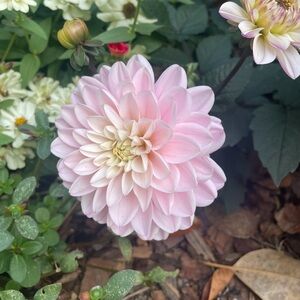 Meet your Posher, Katherine